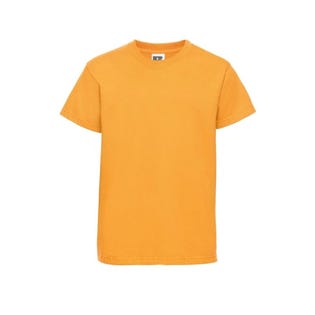 Russell ZT180 T Shirt-GO