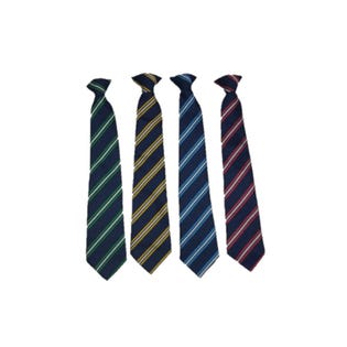 Hall Green Secondary Red Hse Clip Tie-RE