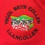 Ysgol Bryn Collen Llangollen Logo